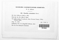 Puccinia extensicola image